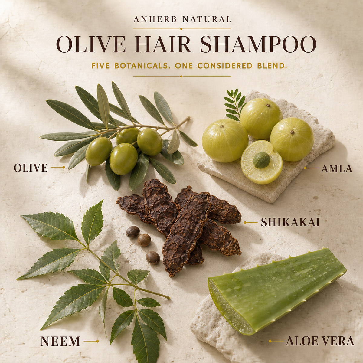 Anherb Natural Olive Hair Shampoo — five botanicals