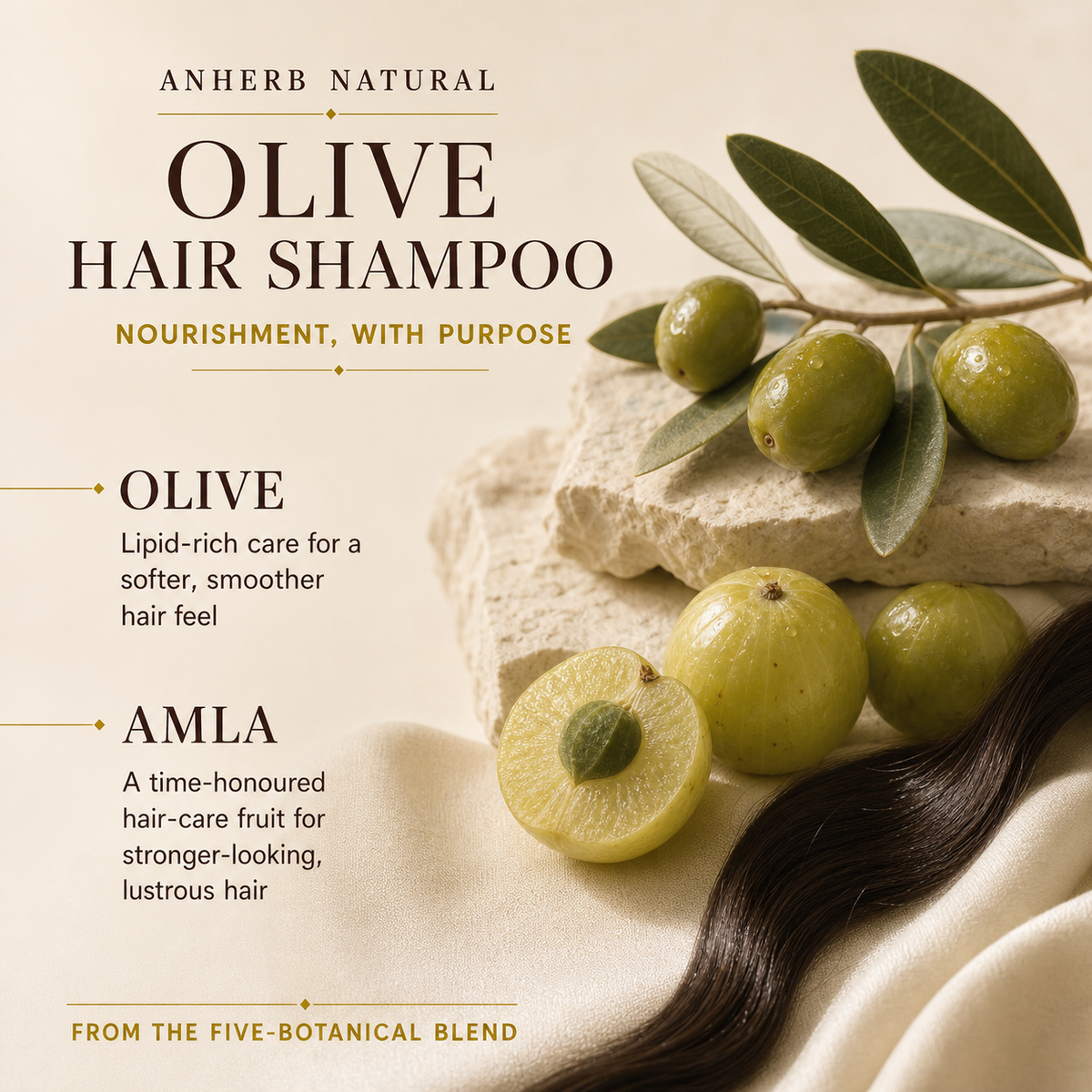 Olive and amla in Anherb Natural Olive Hair Shampoo